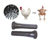 Chicken Feather Plucker Rubber | Pack Of 100 No's | DIAMOND CUT