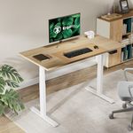 ErgoYou - Electric Height Adjustable Standing Table 47 x 23.5 inches - Dual Motor 3 Stage -125 kg Weight Capacity - E1A Series - Ergonomic Sit Stand Computer Desk – (Maple, 47 x 23.5 inches)