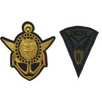 CometCloud® Unisex Sew on Embroidered Biker Patch for Clothing (Army Golden Tiger & Delta Eagle Set of 2 Patches)