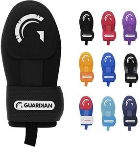 Guardian B