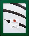 Craig Frames Confetti, Modern Green Picture Frame, 18 x 24 Inch