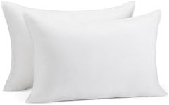 Amazon Basics Down Alternative Pill