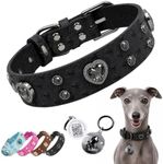 PawView Rhinestone Dog Collar with QR ID Tag, Ostrich-Embossed, Black, L