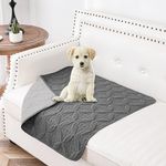 Tuffeel Waterproof Dog Blanket, 30x30 inches Small Pet Couch Covers for Sofa, Chair Bed Furniture Protector from Dogs Washable and Reversible-Lightgrey+Darkgrey