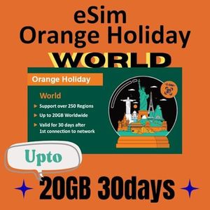 Orange Hol