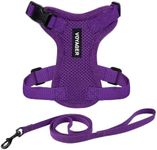 Voyager Step-in Lock Adjustable Cat Harness w. Cat Leash Combo Set with Neoprene Handle 5ft - Supports Small, Medium and Large Breed Cats by Best Pet Supplies - Purple, XXXS