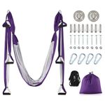 ZELUS Aerial Yoga Swing Set, Aerial Silks with Ceiling Mount Kit and Extension Straps, Antigravity Yoga Hammock Home Gym Include 2 Extensions Straps and Ceiling Mounting Kit, Purple