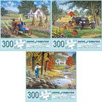 Bits and Pieces - Value Set of Three (3) 300 Piece Jigsaw Puzzles for Adults - Each Puzzle Measures 18" x 24" - 300 pc A Perfect Pair, Pick Your Own, Stepping Stones Jigsaws by Artist John Sloane…