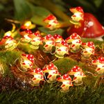 Coquimbo Mushroom Decor LED String Lights 3M 30LEDs Cute Fairy Lights Battery Operated Room Decor for Bedroom Party Christmas Wedding Patio Indoor Outdoor Use