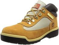 Timberland Men's Waterproof F/L Fie