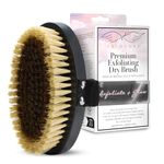 Seraphic Skincare Dry Brush Body Exfoliator for Smooth & Glowing Skin, Promotes Blood Circulation – Exfoliating Body Brush for Cellulite, Lymphatic Drainage – Sisal & Ionic Copper Bristle Body Buffer