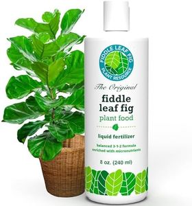 Fiddle Leaf Fig Tree Plant Food for Ficus Lyrata (and Ficus Audrey) – Calcium Fortified, Urea-Free and with NPK Ratio of 3-1-2 for Healthy Roots, Stems and Leaves (8 Ounces))