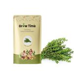 Growtime Thyme Herb Seeds for Home Gardening, Herb Planting Seeds for Kitchen, Thyme Seeds (Pack of 2g)