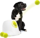 ALL FOR PAWS Automatic Dog Ball Lau