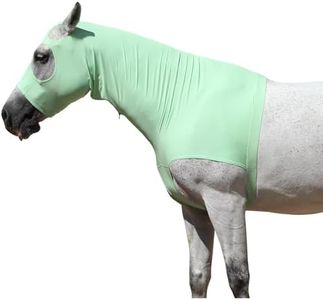 LEAFOREST Horse Slinky Hood with Zipper - Stretch Neck Cover for Horses, Sleazy Hoodies for Mane & Braids Protection, Can Keep Clean for Show and Event Prep & Under Blanket Use Pale Green Large