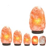 Himalayan Salt Lamp Crystal Pink Rock Salt Lamp Natural Healing 100% Genuine. All Natural and Handcrafted with Wooden Base (Natural Shape 2-3 Kg, 4-6 Kg, & 8-10 Kg) (2-3 Kg)