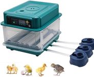 Egg Incubator, Brooding Chicken Incubator with Automatic Egg Turning, Water Adding and Egg Candler Farm Poultry Hatching Eggs for Chicken Duck Goose Pigeon Quail (12 Eggs)