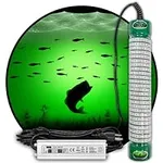 Green Blob Outdoors Underwater Fish