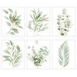 Whaline Botanical Wall Art Prints 6 Pack Boho Plant Wall Decor Minimalist Green Leaves Wall Pictures Photos for Home Bedroom Dormitory (8 x 10 Inch)