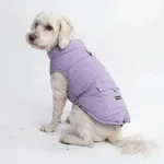 Spark Paws Dog Winter Jacket, Water