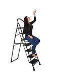 Parasnath Black Diamond Ladder 7 Step Heavy Folding Step Ladder with Wide Step 7.3 FT Ladder Made in India