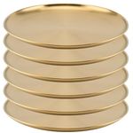 MOUYAT 6 PCS 12 Inch Large Stainless Steel Plate, 30cm Round Dinner Metal Plates, Metal Salad Steak Plates Reusable Dinner Dish for Eating Serving Camping Outdoor BBQ Home Kitchen, Frosted Gold