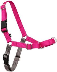 PetSafe Easy Walk No-Pull Dog Harness - The Ultimate Harness to Help Stop Pulling - Take Control & Teach Better Leash Manners - Helps Prevent Pets Pulling on Walks, Small/Medium, Raspberry/Gray