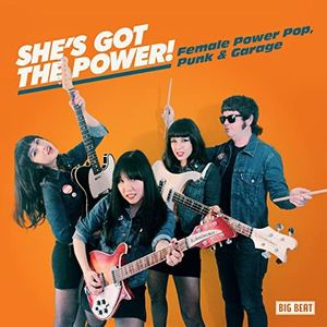 She's Got The Power: Female Power Pop, Punk & Garage / Various