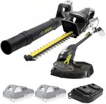 Sun Joe 24V IONMAX Cordless Leaf Bl