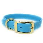 Regal Dog Products Medium Light Blue Waterproof Dog Collar with Gold Buckle, Resilient and Durable Materials, Comfortable Design - for Small, Medium, and Large Breed Dogs