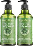 Antifungal Body Wash & Soap with Tea Tree Oil - 2 Pack Tinea Versicolor Body Wash for Back Acne, Folliculitis, For Jock Itch, Athletes Foot, Body Odor, Ringworm - 2 Pack