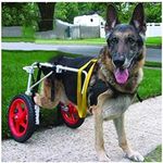 Large Dog Wheelchairs