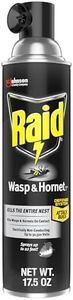 Raid Wasp 