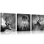 Canvas Wall Art Painting Black And White Abstract Deer Picture For Living Room Animals Pictures Photo Prints On Canvas for Home Modern Decoration Framed Ready to Hang