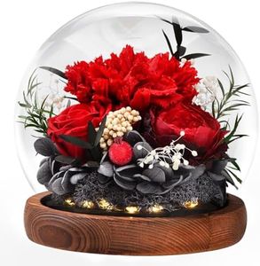 Regalos para Mujeres, Rosas de Clavel Reales Preservadas Hechas a Mano en Vidrio con Luz, Regalos para Mamá Abuela Esposa Hermana Novia, para cumpleaños día de San Valentín Navidad Día de la Madre