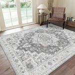 GENIMO Area Rugs 5x7 for Living Room, Non-Slip Machine Washable Rug for Hallway Kitchen, Low Pile Print Rug for Bedroom Dining Room Home Office