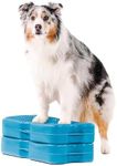 Blue-9 Propel Air Platform Kit, Pro
