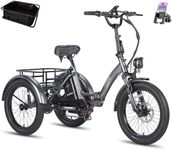 Fafrees F20 Mate Electric Trike E-B