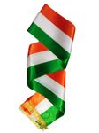 BookMyCostume Set of 5 Tricolor Stole Tiranga Independence Day Kids & Adults Costume Accessory Free Size