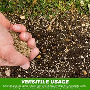 GroundMaster Premium Lawn Grass Seed 1KG – Hard Wearing, Fast Germination, Pet-Friendly, Covers 60m²