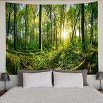 BCKAKQA Forest Tapestry Wall Hanging Green Tree and Sunshine Wall Tapestry Nature Landscape Tapestries for Bedroom Dorm Living Room Home Decoration Background Wall Blanket (150X200cm ,59"X79")