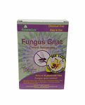Nema Globe 4 x 5 Million Beneficial Nematodes