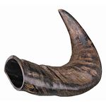 Trixie Genuine Buffalo Chewing Horn for Dogs, Medium