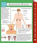Endocrine System (Speedy Study Guid