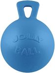 Jolly 0788169041095 Horse Ball Ligh
