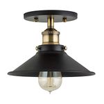 Flush Mount Ceiling Lights