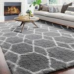 ONASAR Large Area Rug for Living Ro