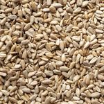 Weterton Feeds 20kg Sunflower Hearts for Wild Birds- Premium Bakery Grade