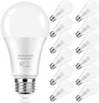 LED Light Bulbs 100 Watt Equivalent