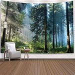 Jation Misty Forest Tapestry Sunshine Through Tree Nature Landscape Wall Tapestry Wall Hanging Poster Tapestry Art for Home Headboard Dorm Decor in 51x60 Inches